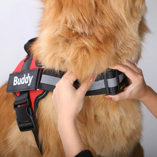 DogBuddy™ - Personalized Dog Harness