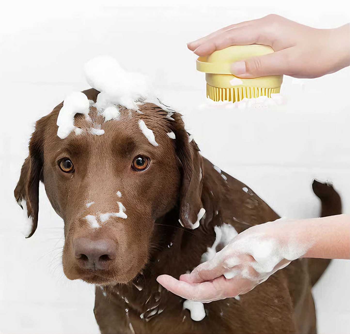 WagN’Brush™ - Dog Shampoo Brush