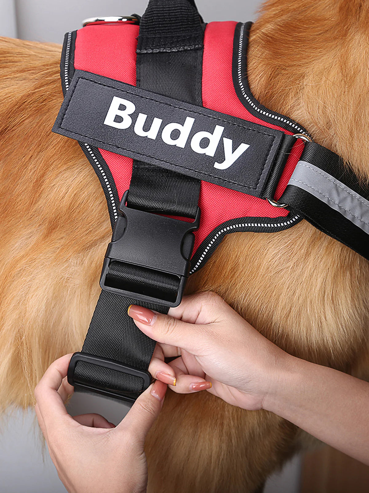 DogBuddy™ - Personalized Dog Harness